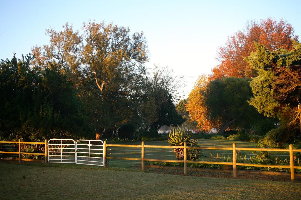 Sneezewood Farm Bed&Breakfast And Self-Catering Cottage Dundee Luaran gambar